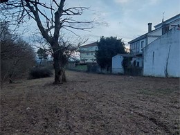 20250220_190407