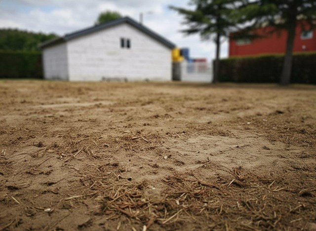 Desbroce y limpieza de fincas en Ourense - Imagen 1