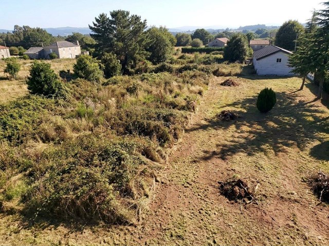 Desbroce y limpieza de fincas en Pontevedra