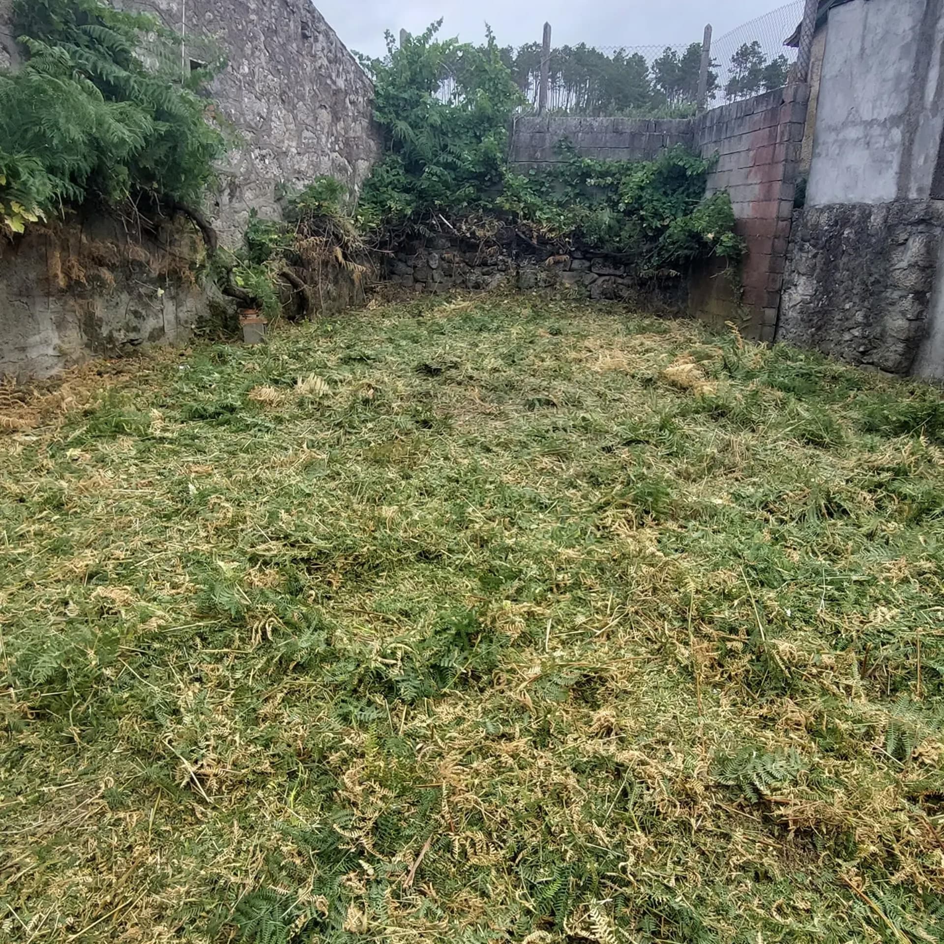 ¿Tu terreno necesita mantenimiento?