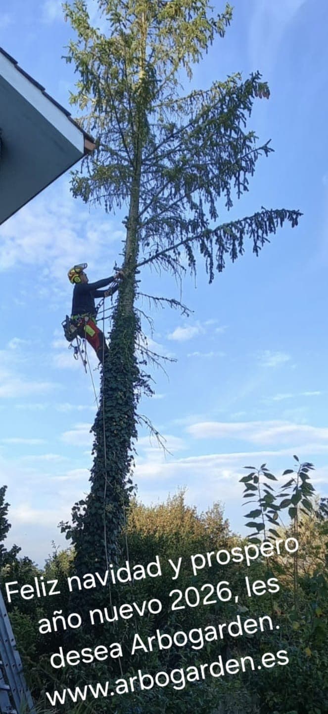 Somos Arbogarden: tu empresa de Jardinería en Ourense