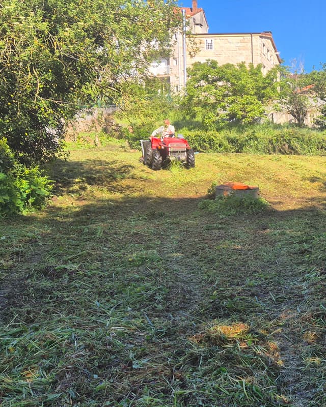 Desbroces mecanizados en Ourense para grandes terrenos