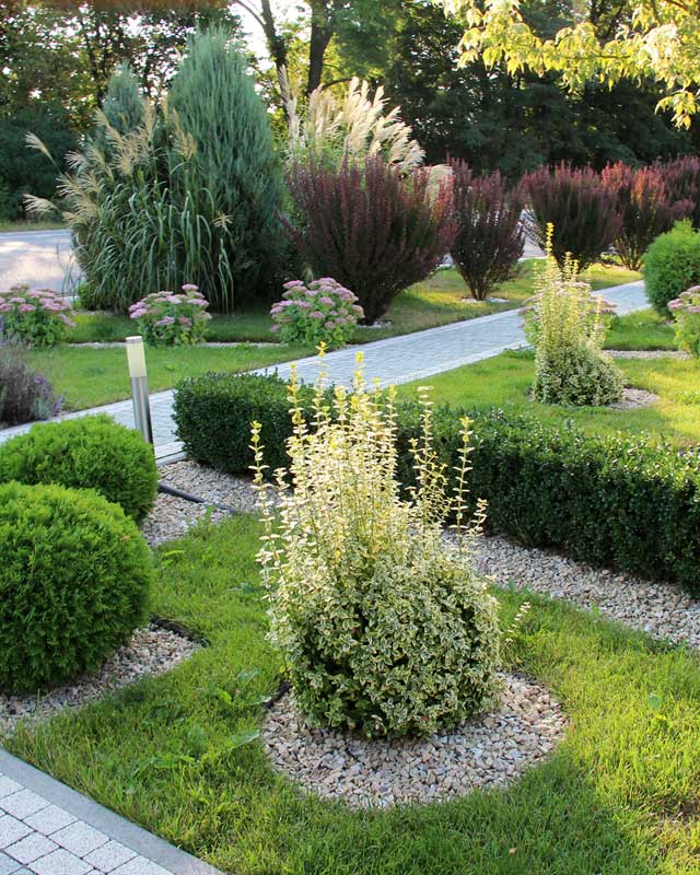 Cuidados integrales para tu jardín