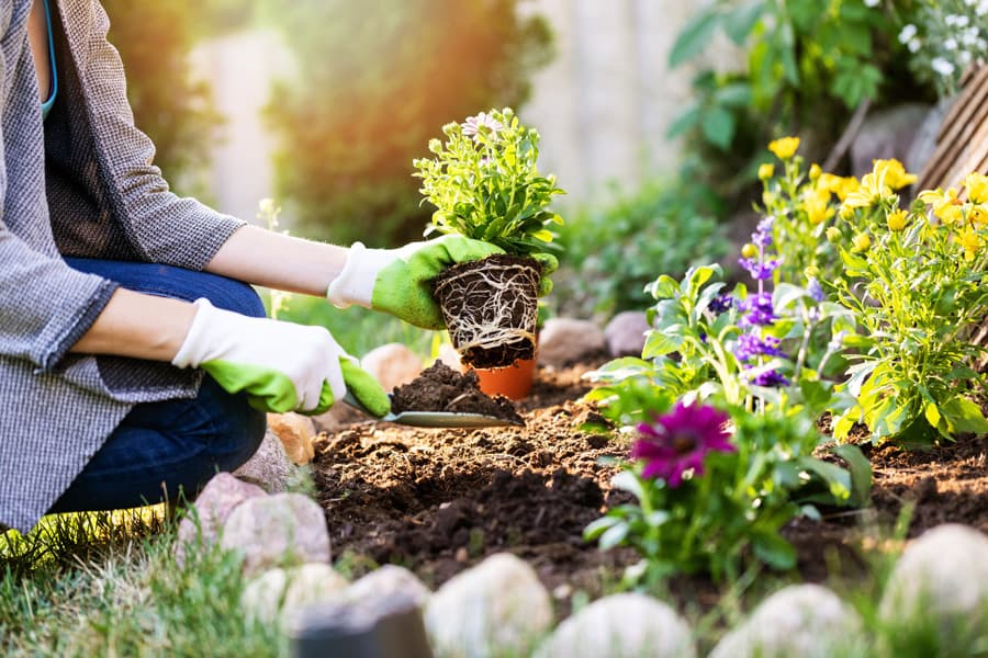 Preguntas que te acercan a tu jardín ideal
