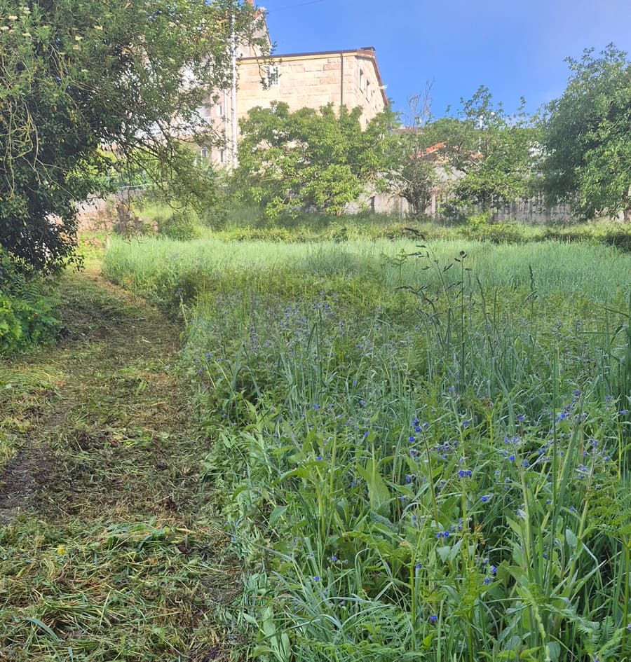 Preguntas que te acercan a tu jardín ideal